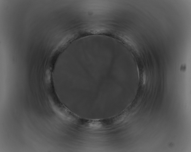 X0000092290214200710121440