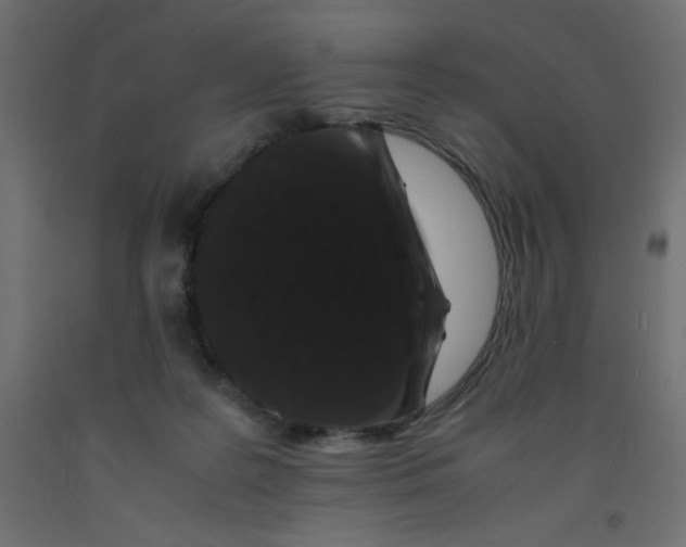 X0000092290219200710121440