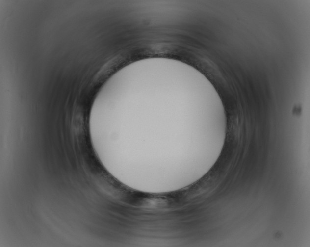 X0000092290220200710121440