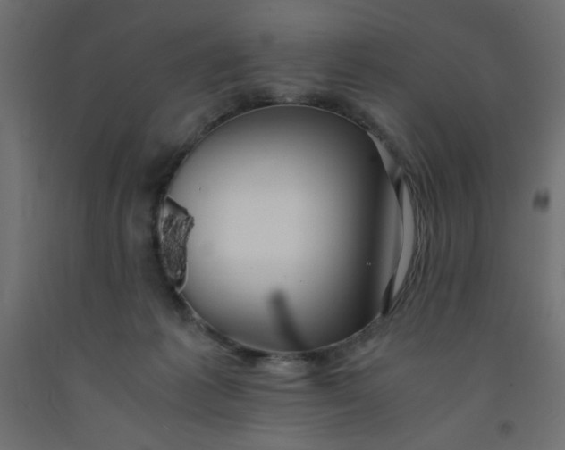 X0000092290221200710121440