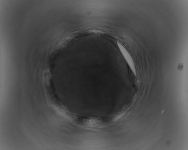 X0000092290223200710121440