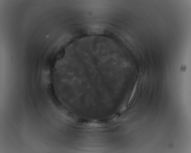 X0000092290224200710121440