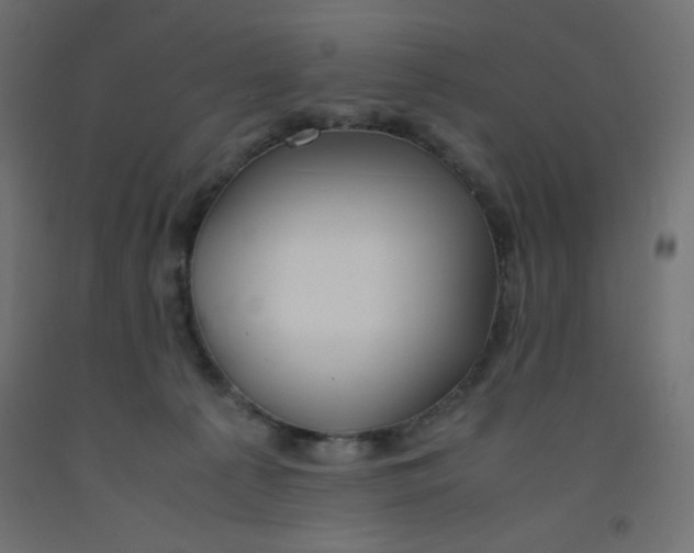 X0000092290225200710121440