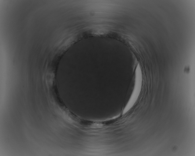 X0000092290227200710121440