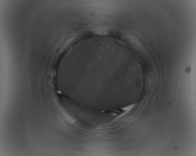 X0000092290229200710121440