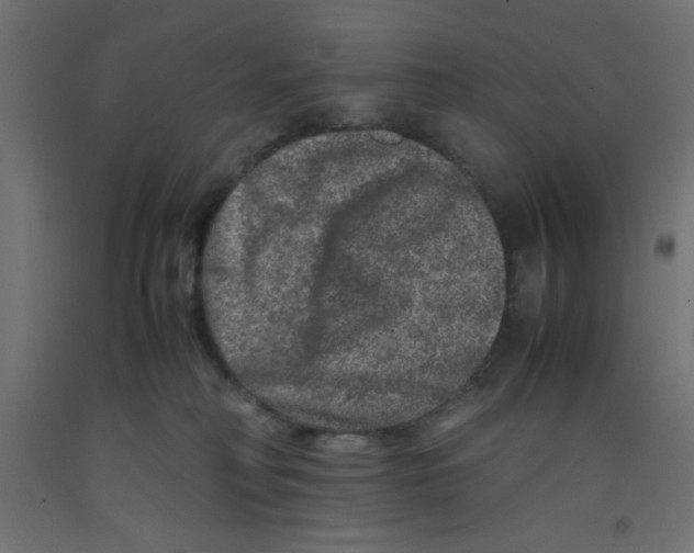 X0000092290230200710121440