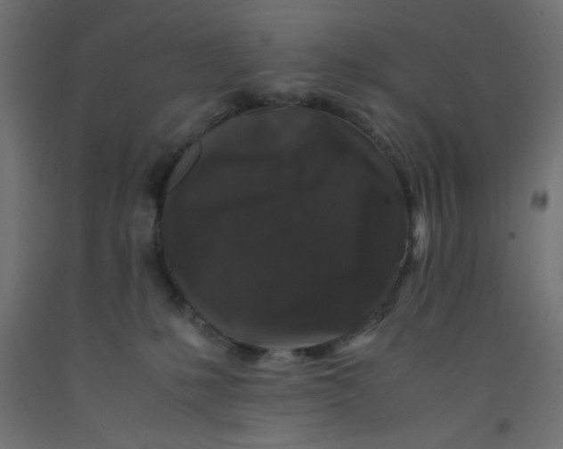 X0000092290231200710121440