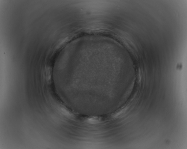 X0000092290232200710121440