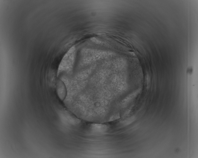 X0000092290234200710121440