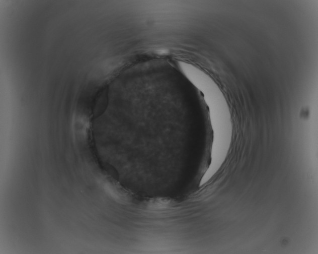 X0000092290235200710121440