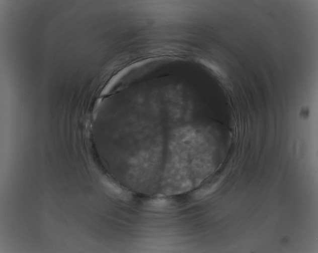 X0000092290237200710121440