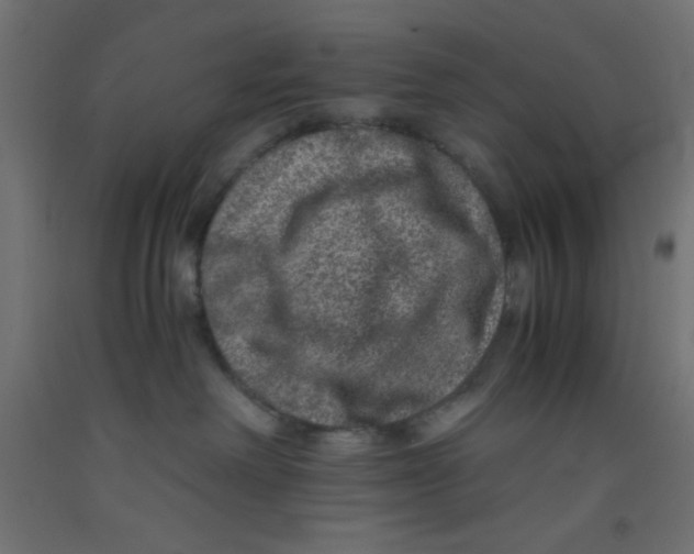 X0000092290238200710121440