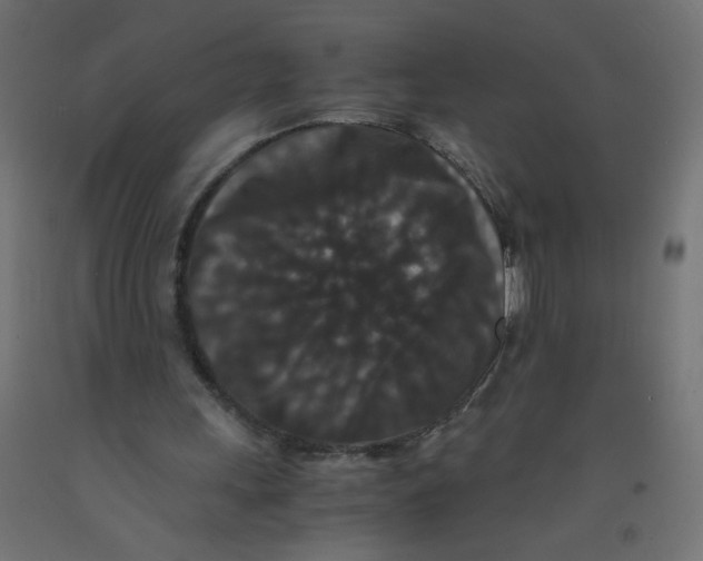 X0000092290243200710121440