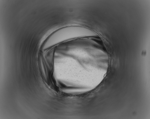 X0000092290244200710121440