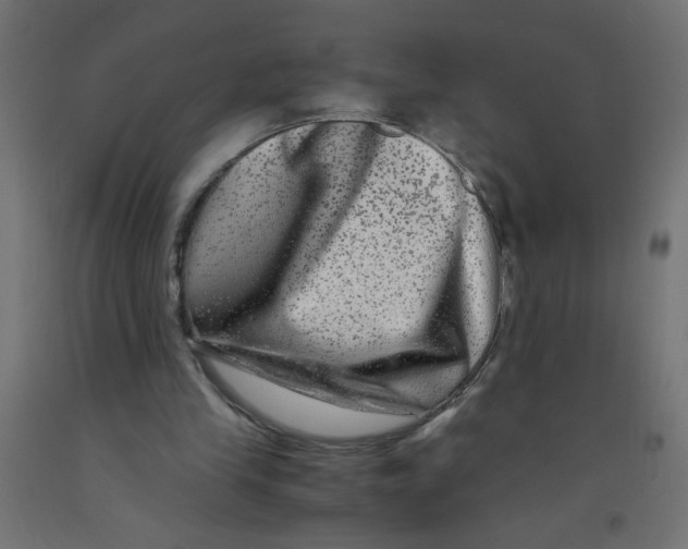 X0000092290245200710121440