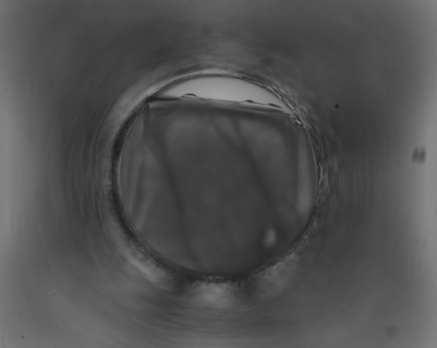 X0000092290247200710121440