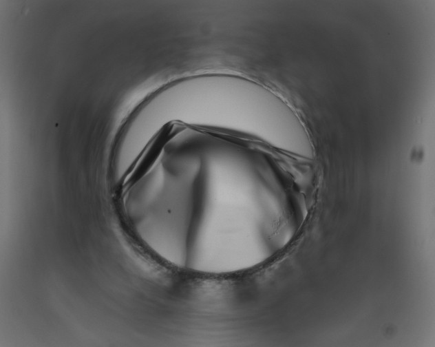 X0000092290248200710121440