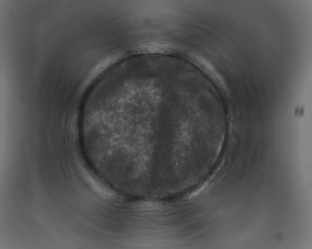 X0000092290250200710121440