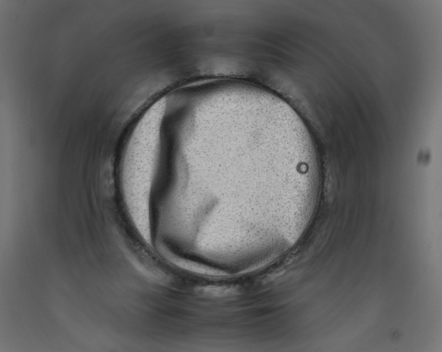 X0000092290251200710121440