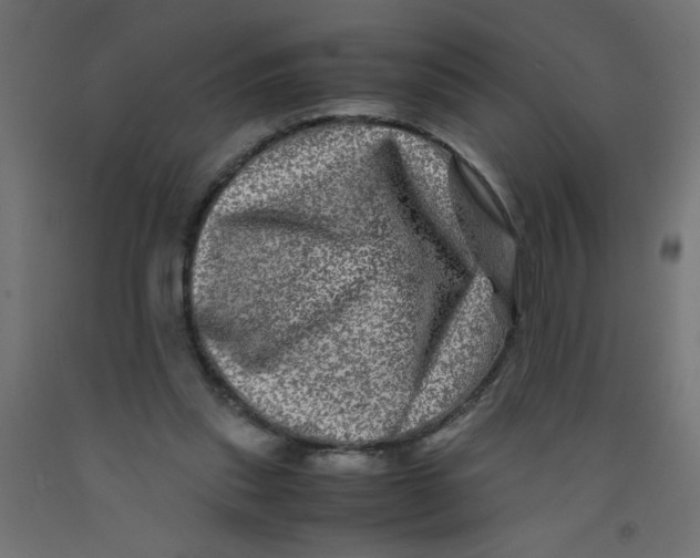 X0000092290253200710121440