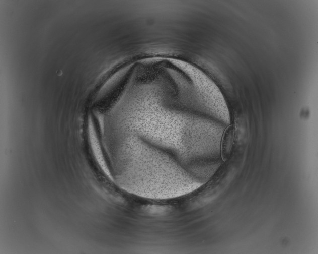 X0000092290255200710121440