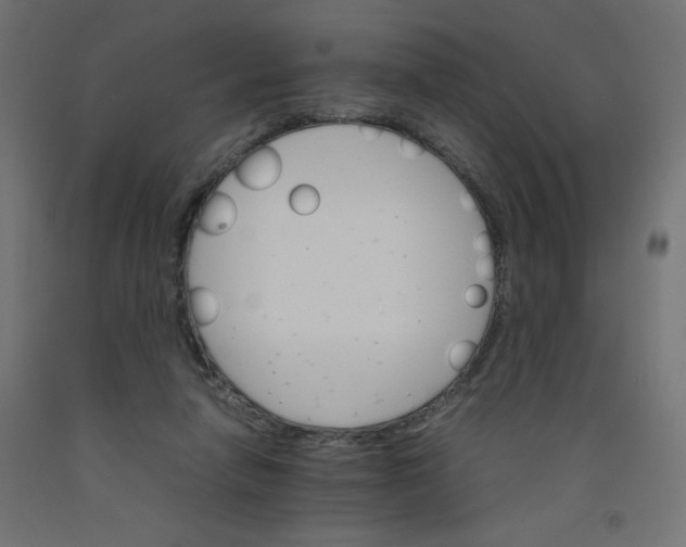 X0000092290258200710121440