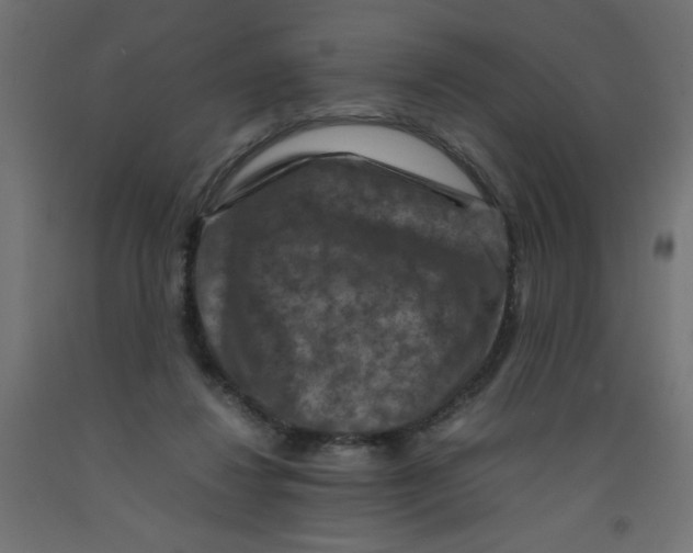 X0000092290260200710121440