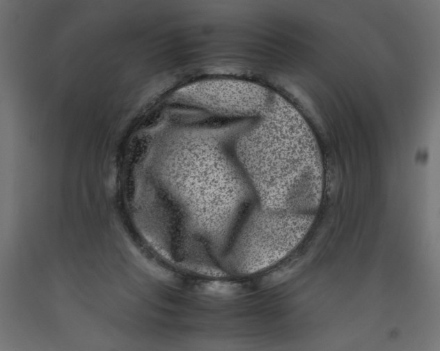 X0000092290261200710121440