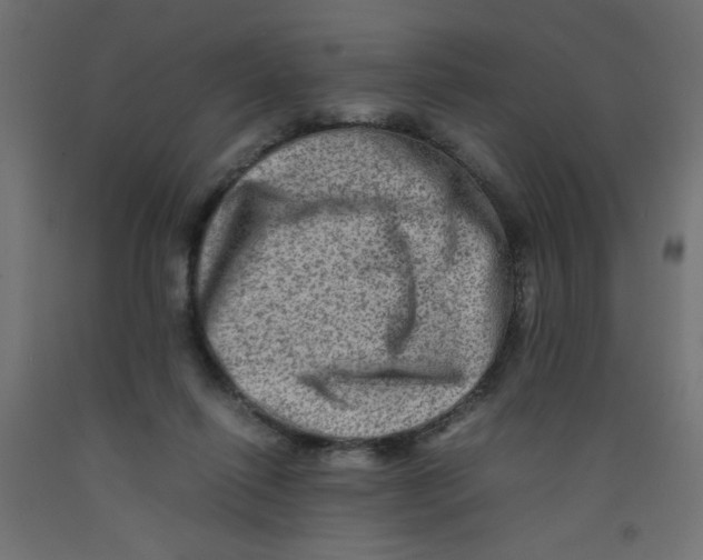 X0000092290262200710121440