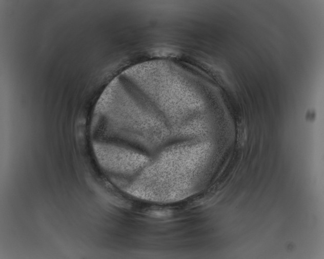 X0000092290263200710121440