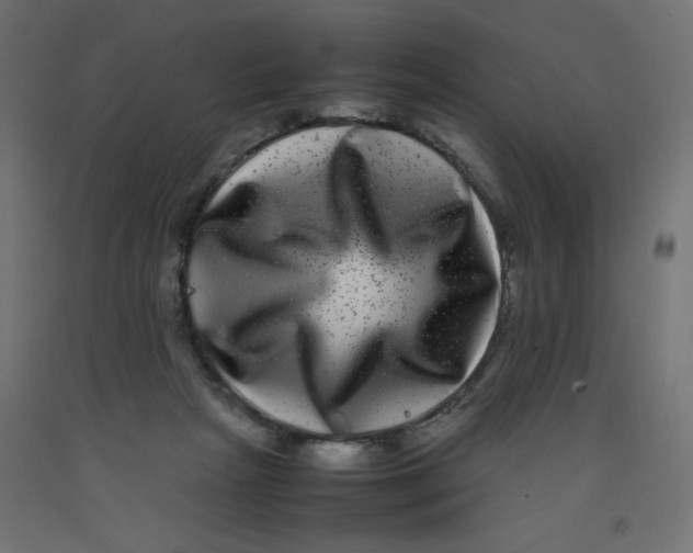 X0000092290265200710121440