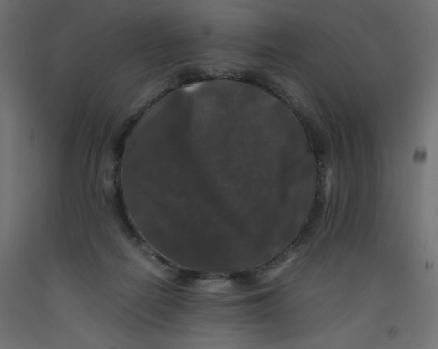 X0000092290266200710121440