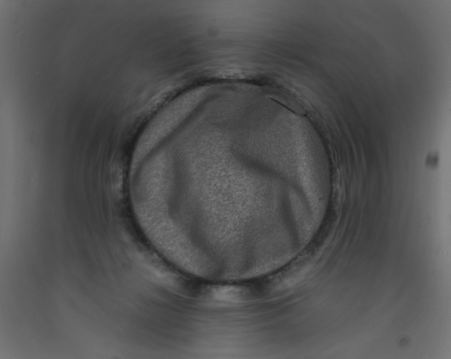 X0000092290268200710121440