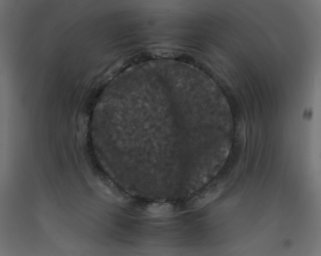 X0000092290271200710121440