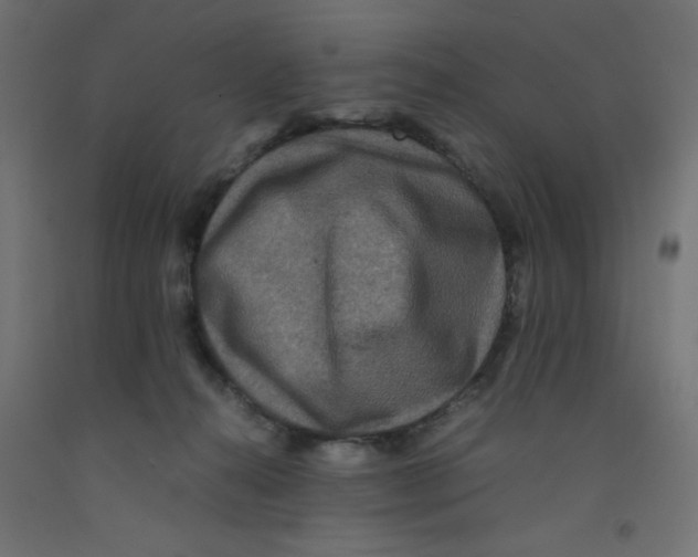 X0000092290272200710121440