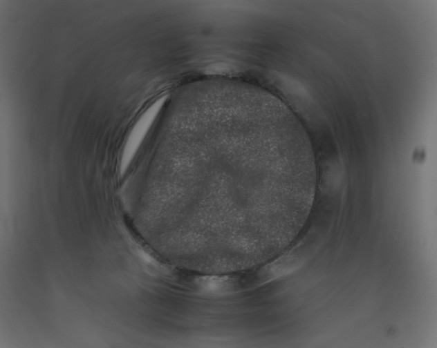 X0000092290273200710121440