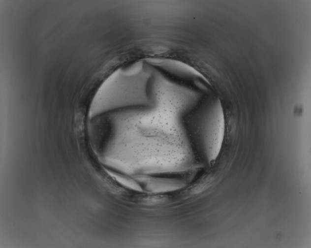 X0000092290274200710121440