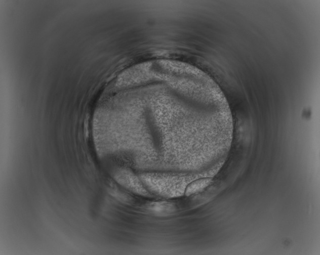 X0000092290275200710121440