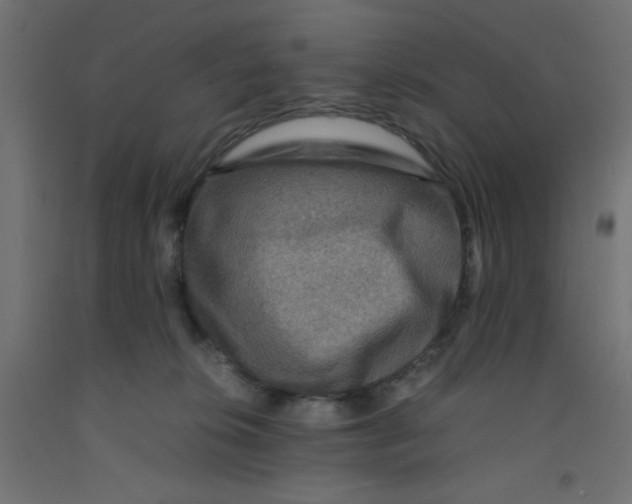 X0000092290276200710121440