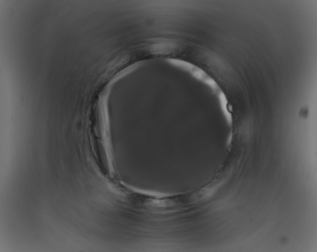 X0000092290277200710121440