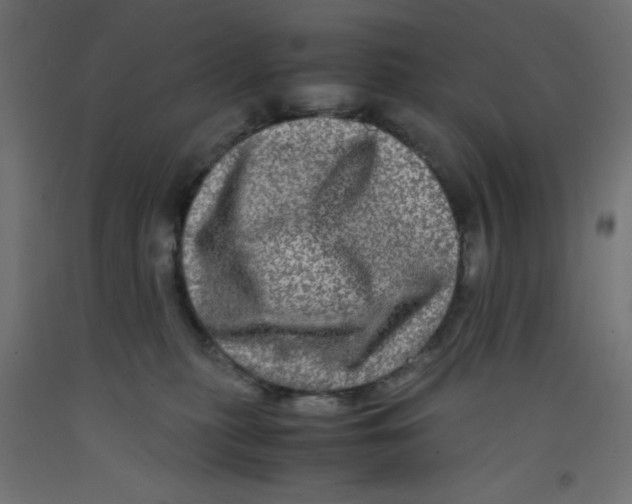 X0000092290279200710121440