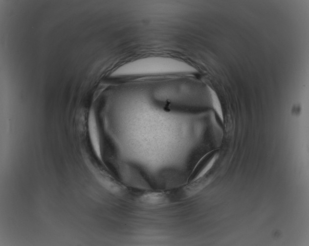 X0000092290280200710121440