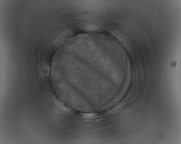 X0000092290281200710121440