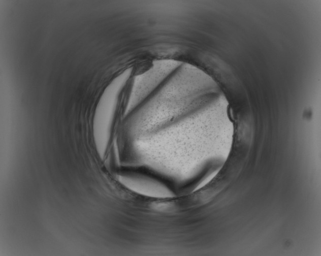 X0000092290283200710121440