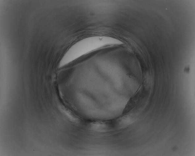 X0000092290284200710121440