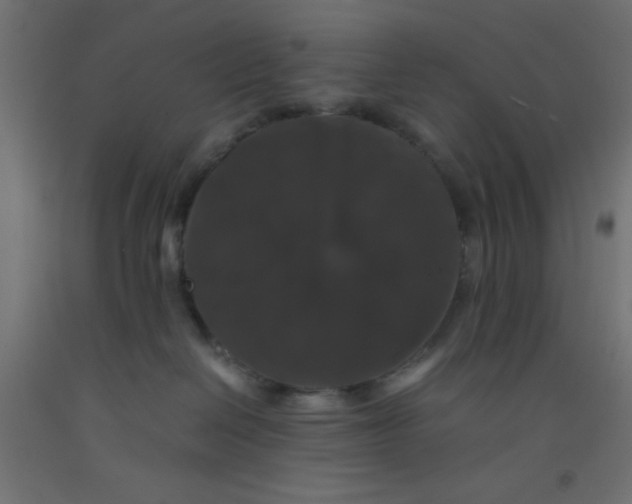 X0000092290286200710121440