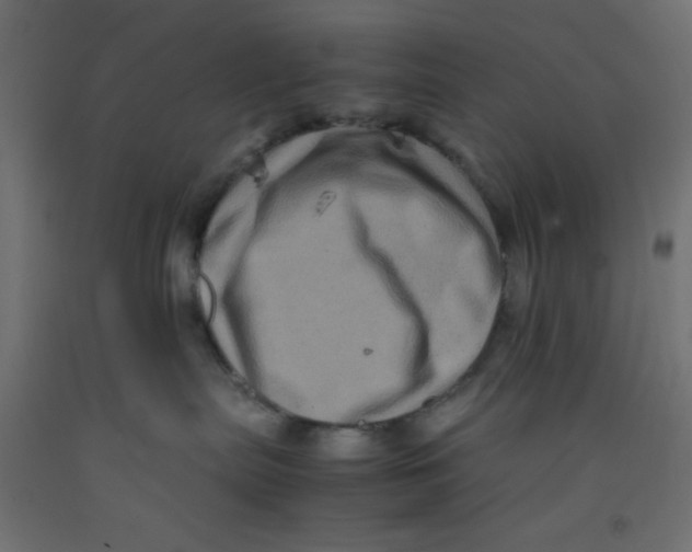 X0000092290287200710121440