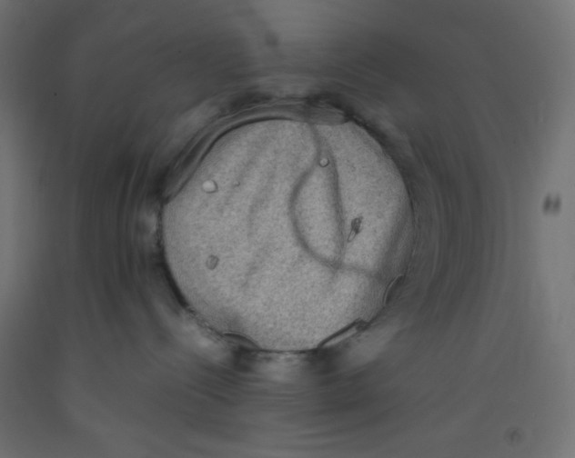 X0000092290288200710121440