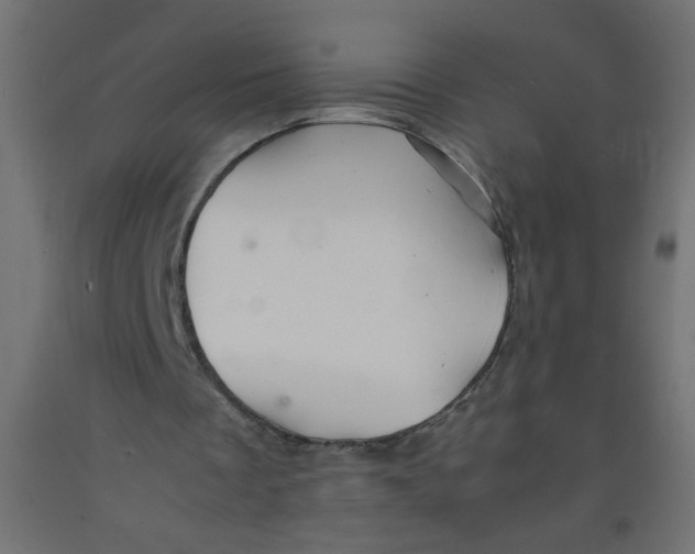 X0000092290289200710121440