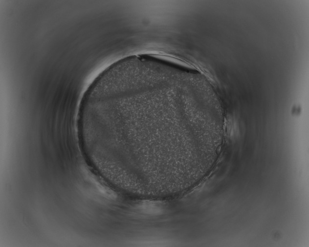 X0000092290292200710121439